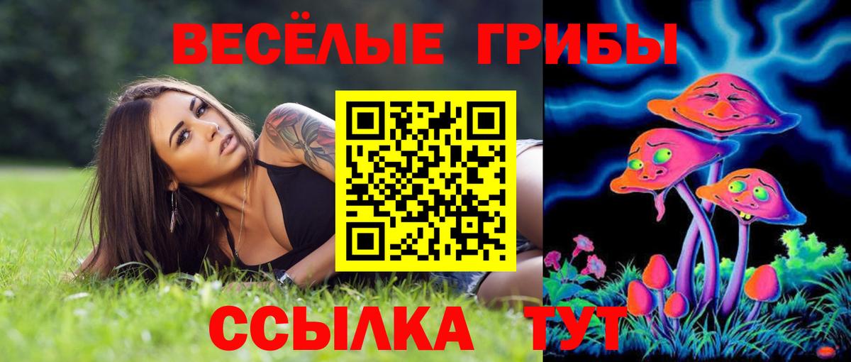 Ртищево  Псилоцибиновые грибы мухоморы  Вход с VPN 